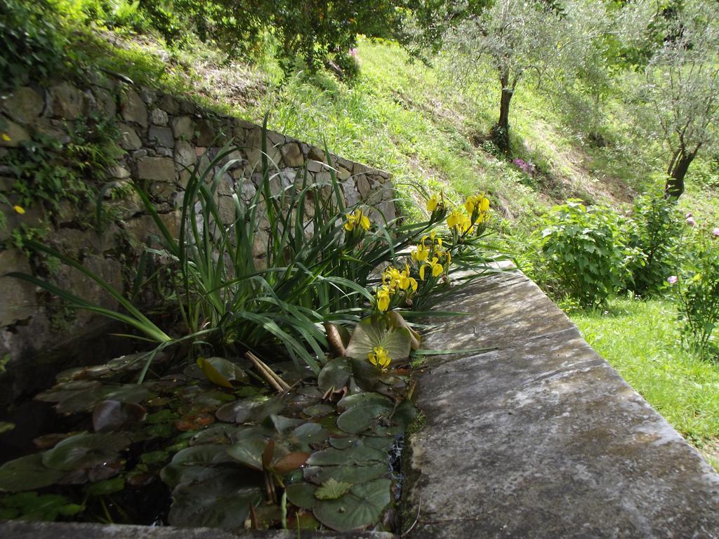 Agriturismo Brasino Fosdinovo Rum bild